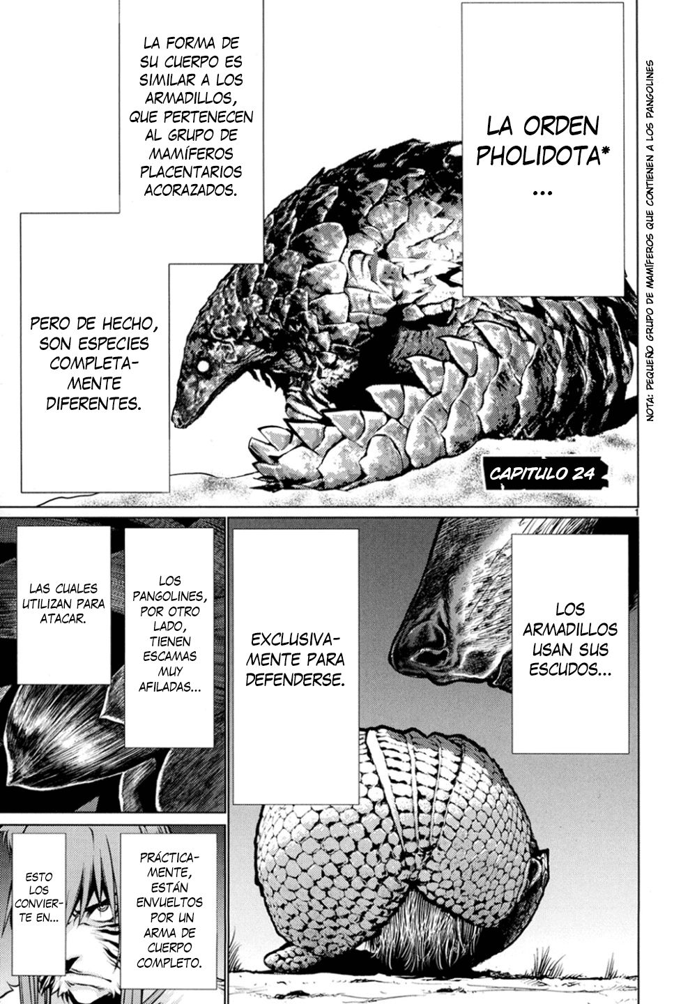 Killing Bites Capitulo 24: ¡Demostrarles nuestra superioridad es lo mejor! página 2