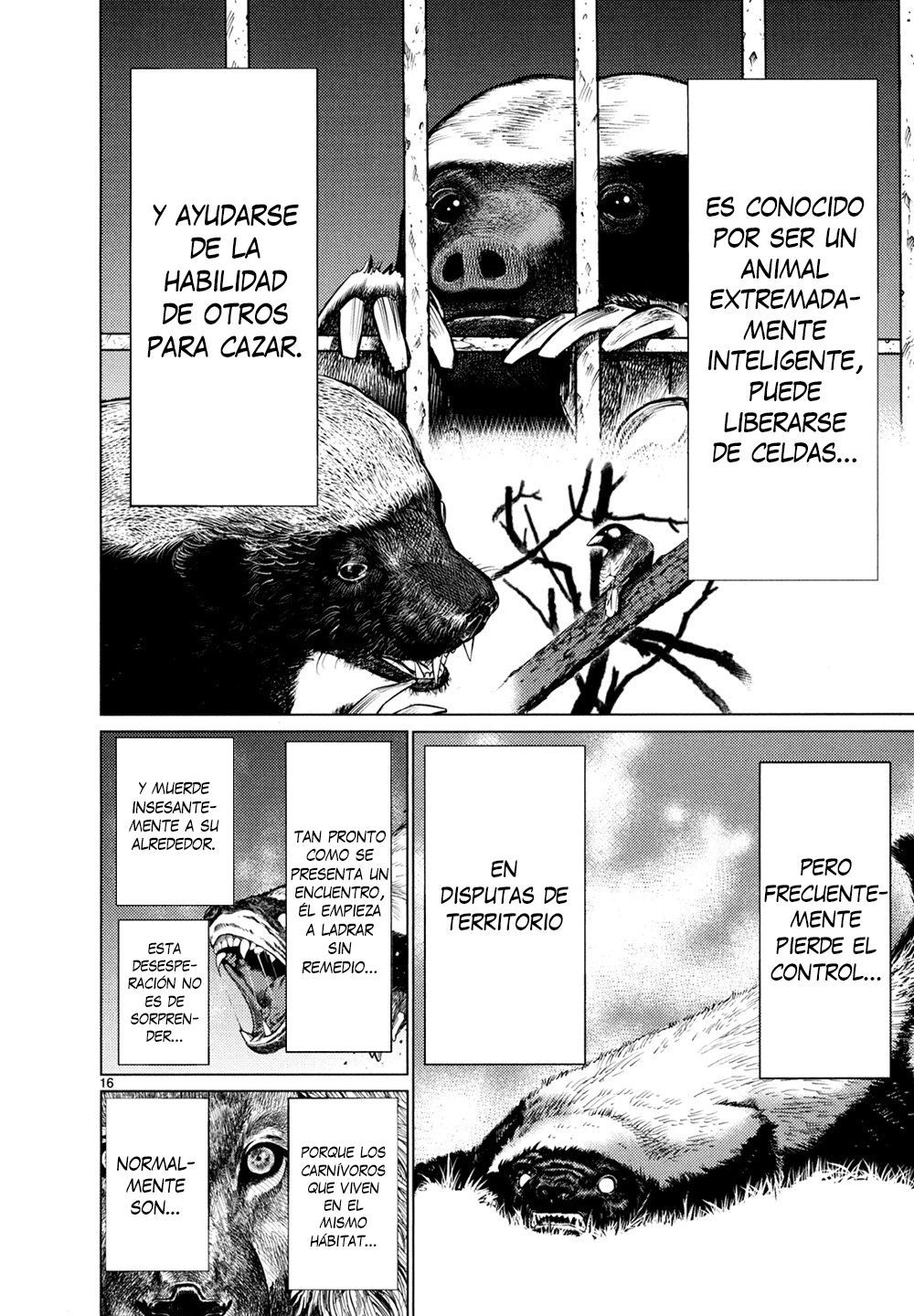 Killing Bites Capitulo 26: ¡No debes profanar a mi madre! página 16