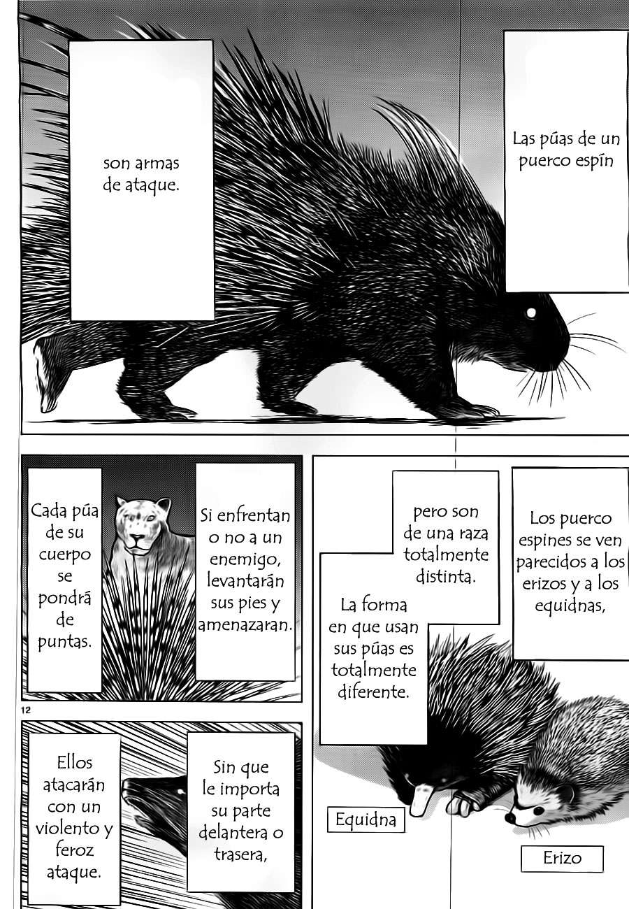 Killing Bites Capitulo 3: Un instintivo ataque directo página 12