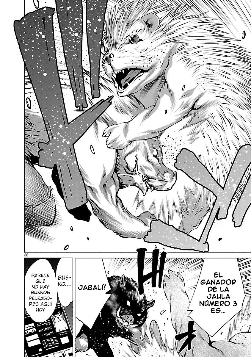 Killing Bites Capitulo 31: ¡Me convertiré en la campeona de Killing Bites! página 37