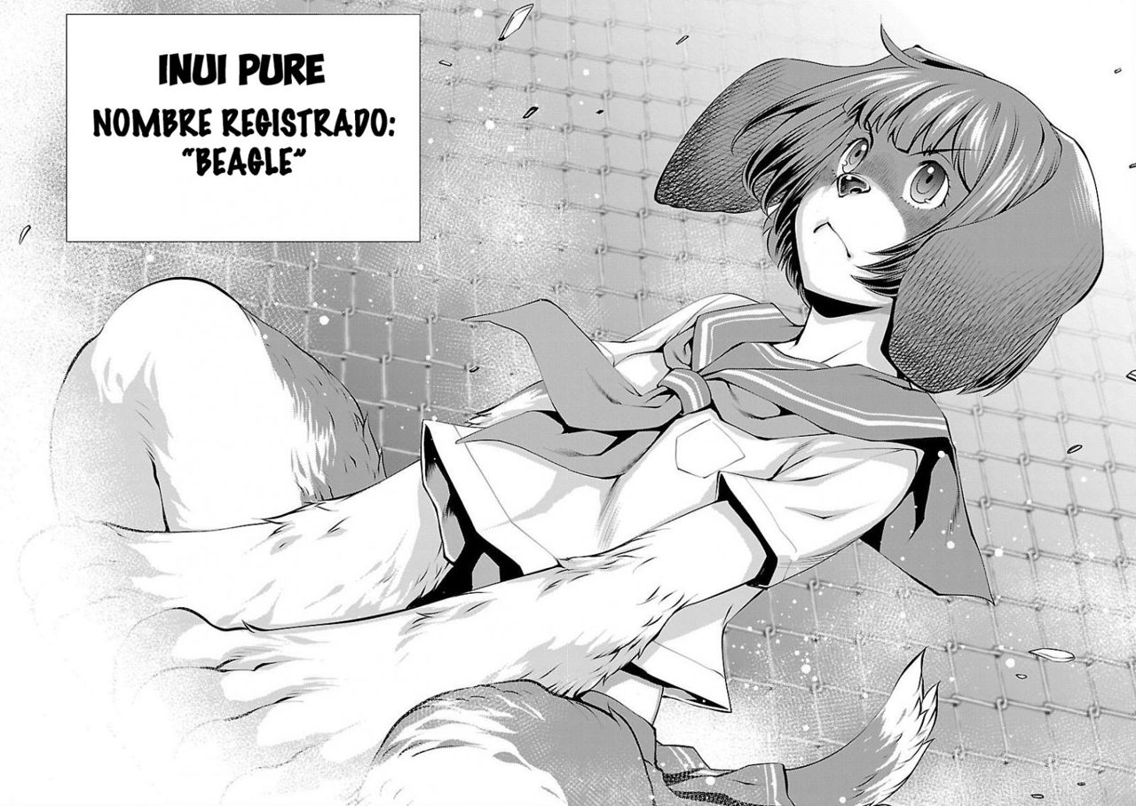 Killing Bites Capitulo 31: ¡Me convertiré en la campeona de Killing Bites! página 45