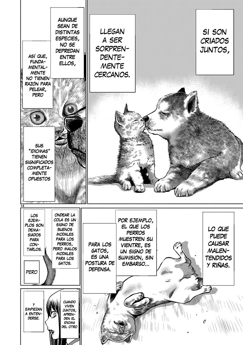 Killing Bites Capitulo 39: "Ah- Que Fastidio” página 15