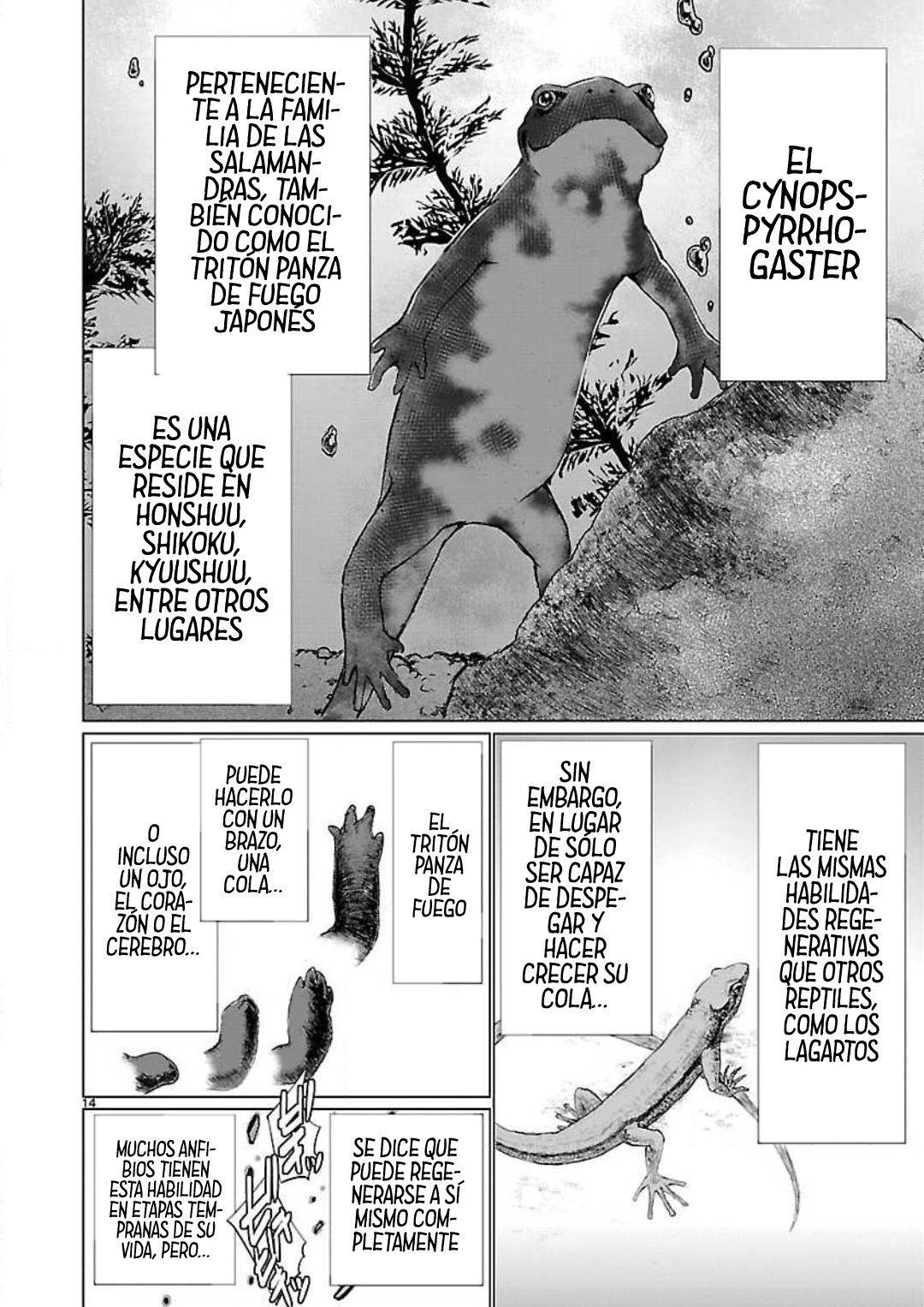 Killing Bites Capitulo 46 página 18