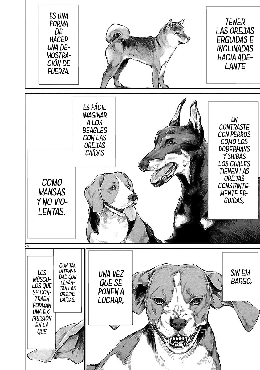 Killing Bites Capitulo 66 página 26