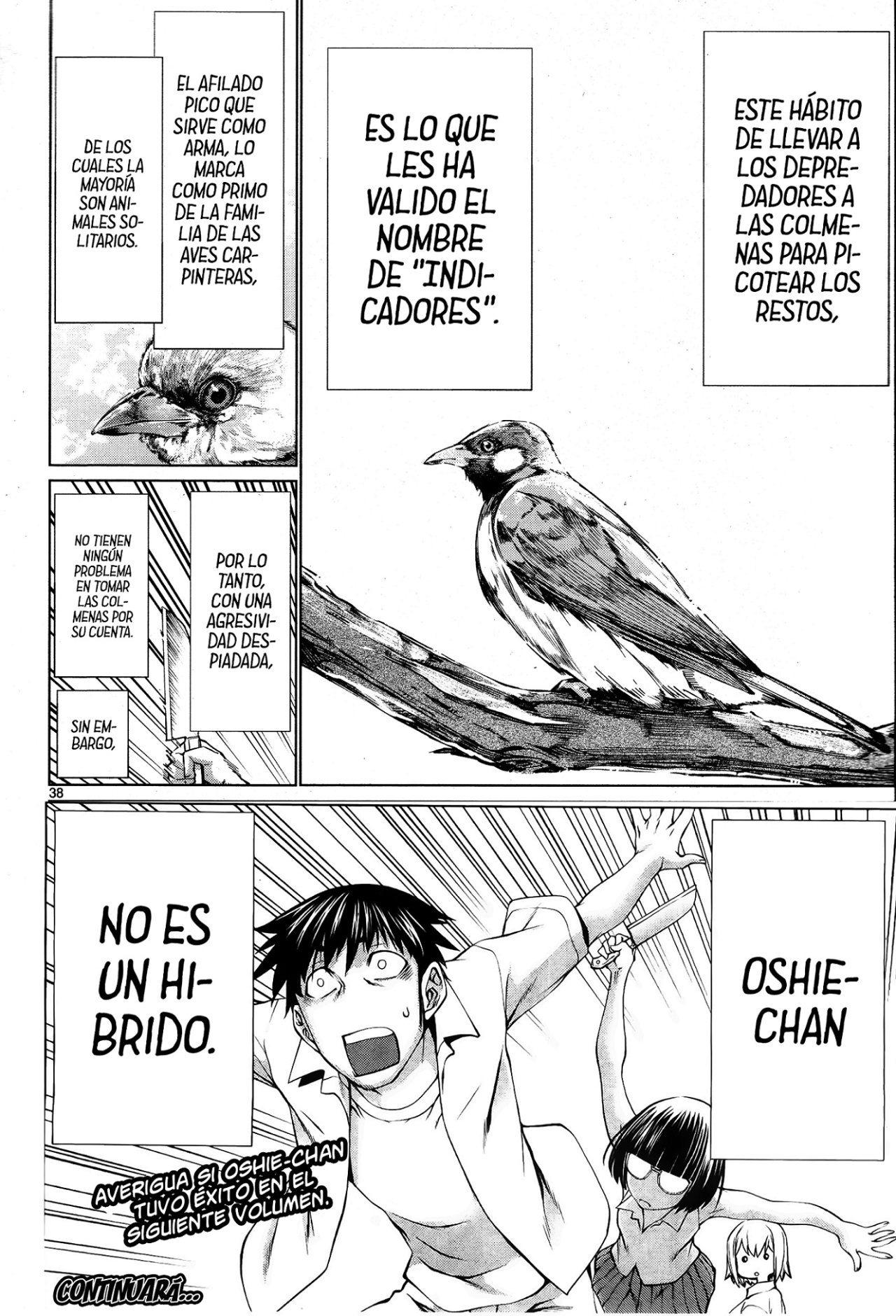 Killing Bites Capitulo 69 página 39