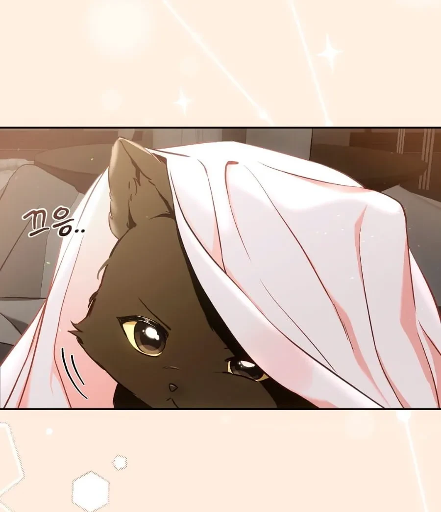 Terapia de gatos Capitulo 1 página 6