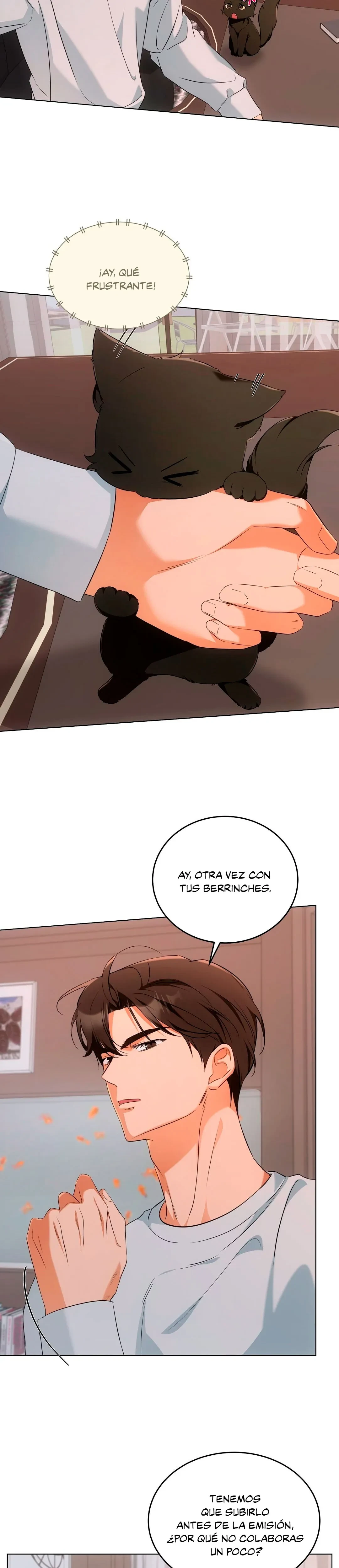 Terapia de gatos Capitulo 10 página 10
