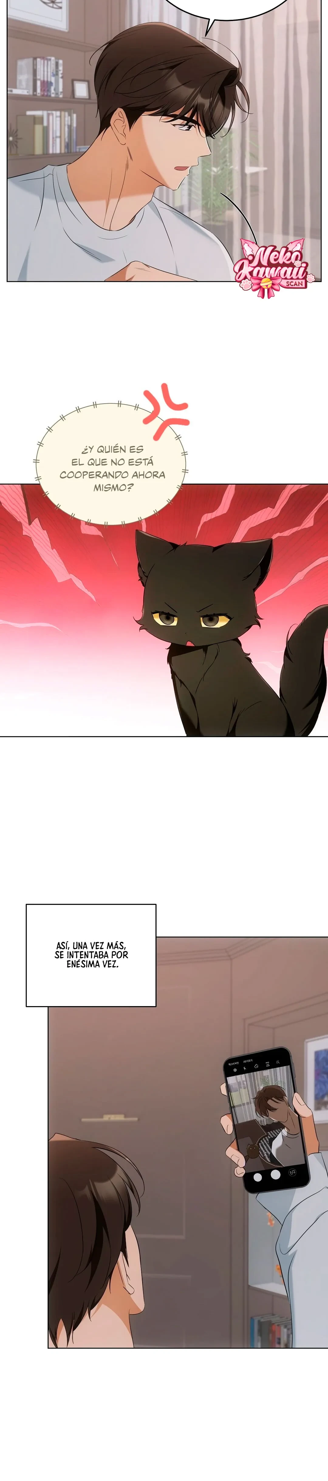 Terapia de gatos Capitulo 10 página 11