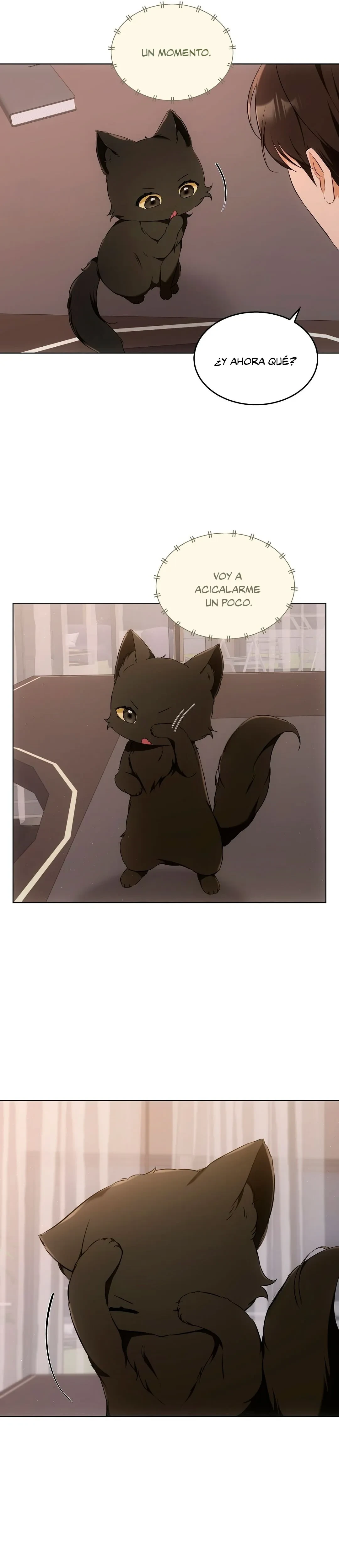 Terapia de gatos Capitulo 10 página 12