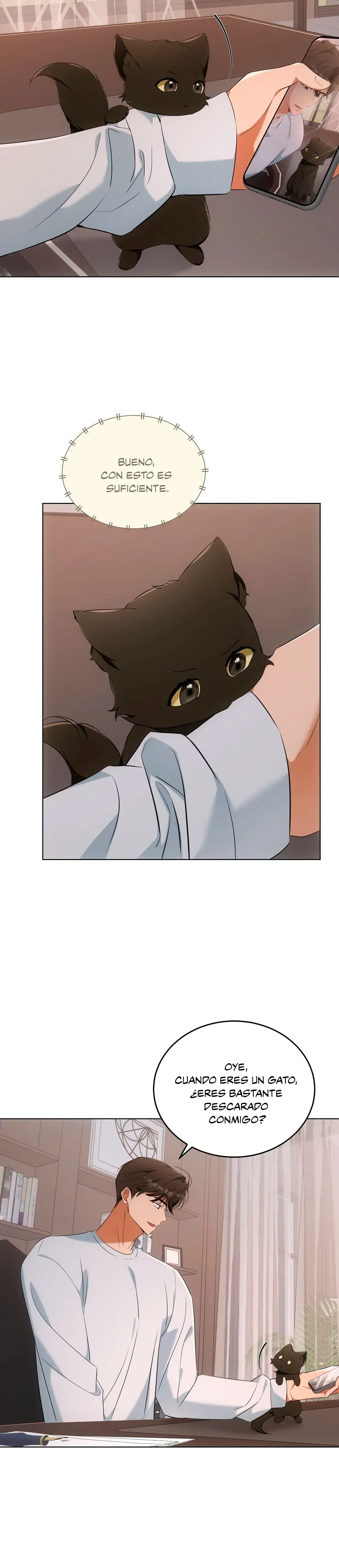 Terapia de gatos Capitulo 10 página 14