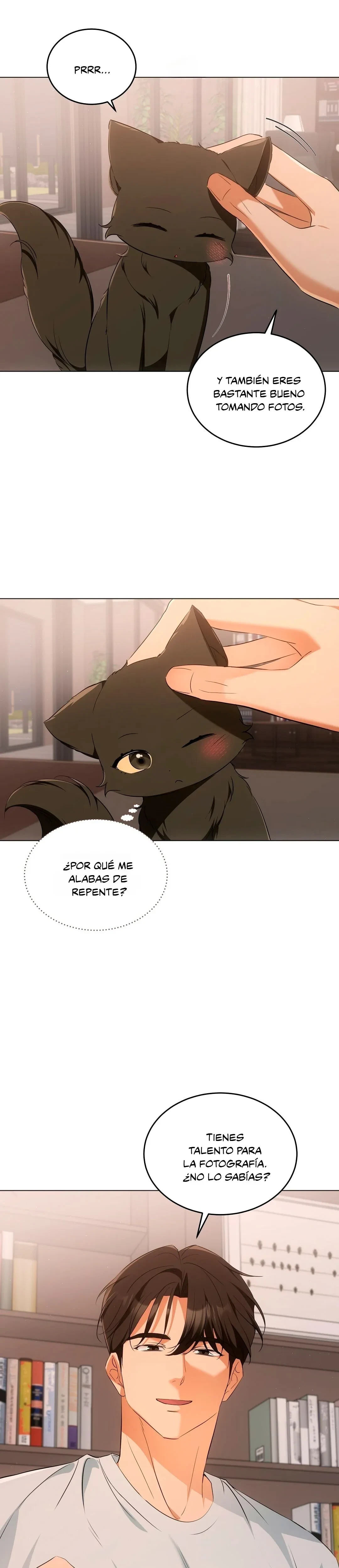 Terapia de gatos Capitulo 10 página 15