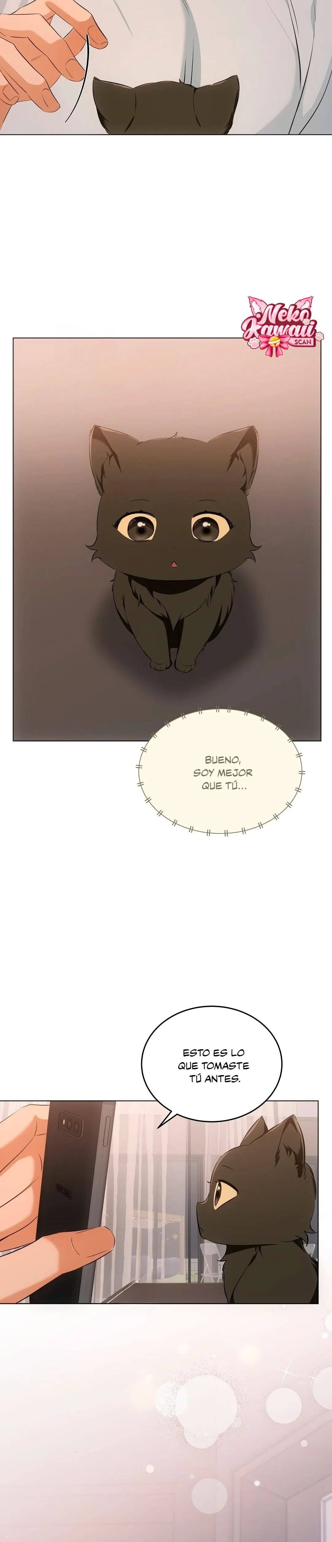 Terapia de gatos Capitulo 10 página 16