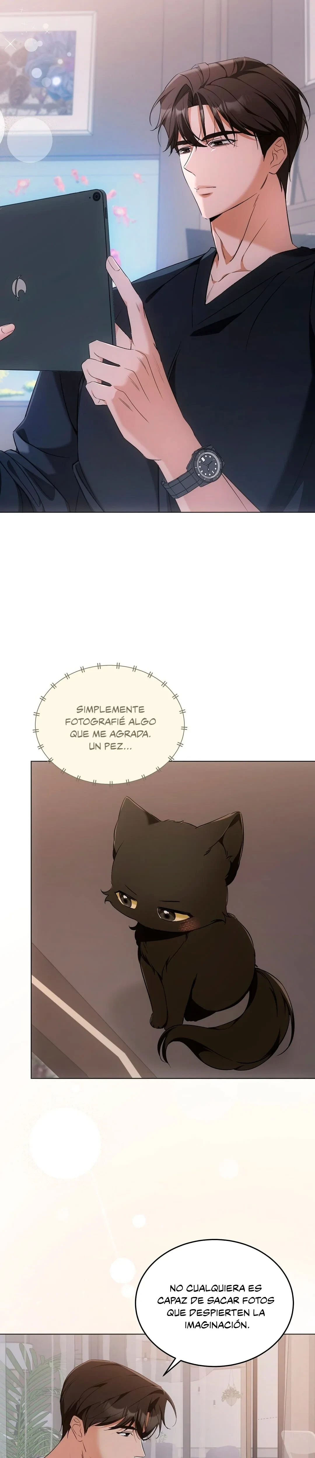 Terapia de gatos Capitulo 10 página 17