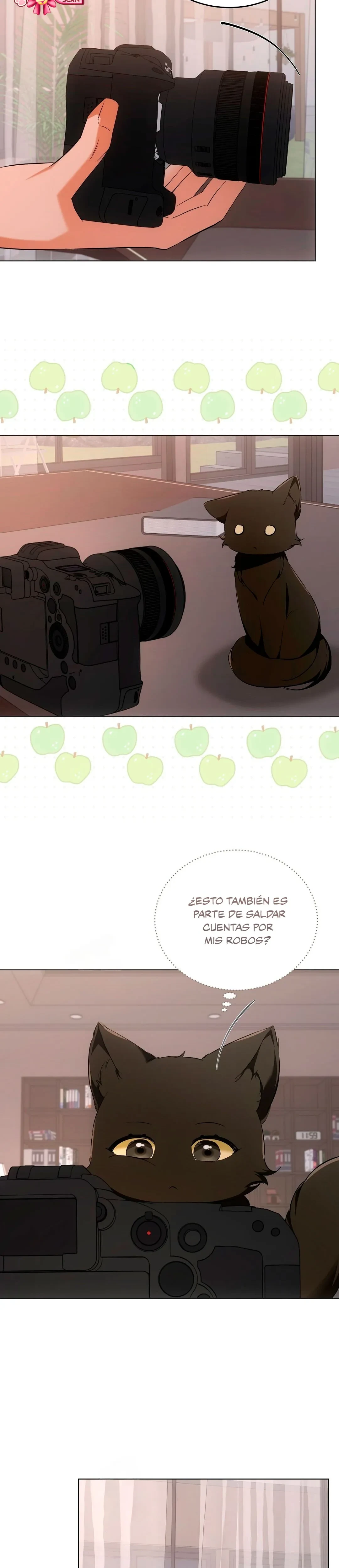 Terapia de gatos Capitulo 10 página 19