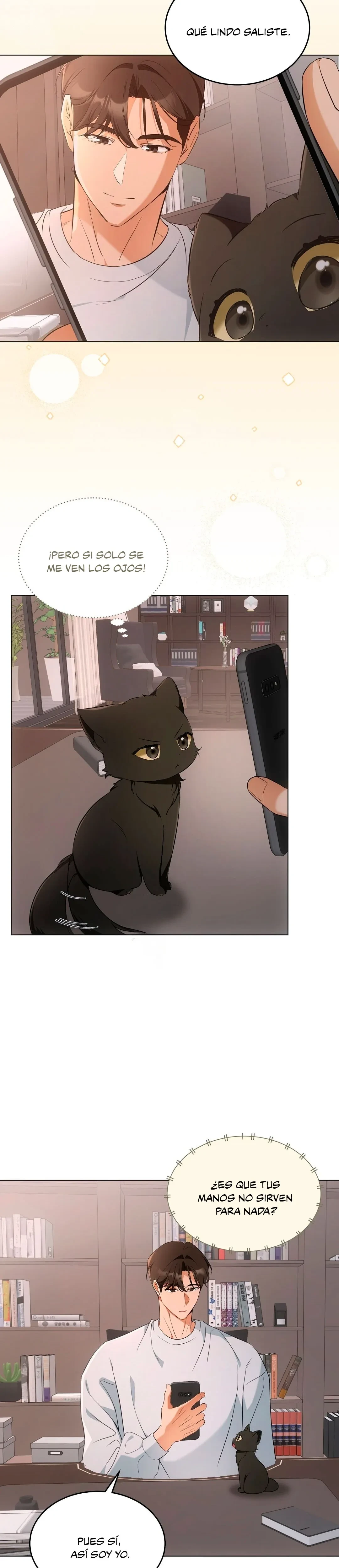 Terapia de gatos Capitulo 10 página 8
