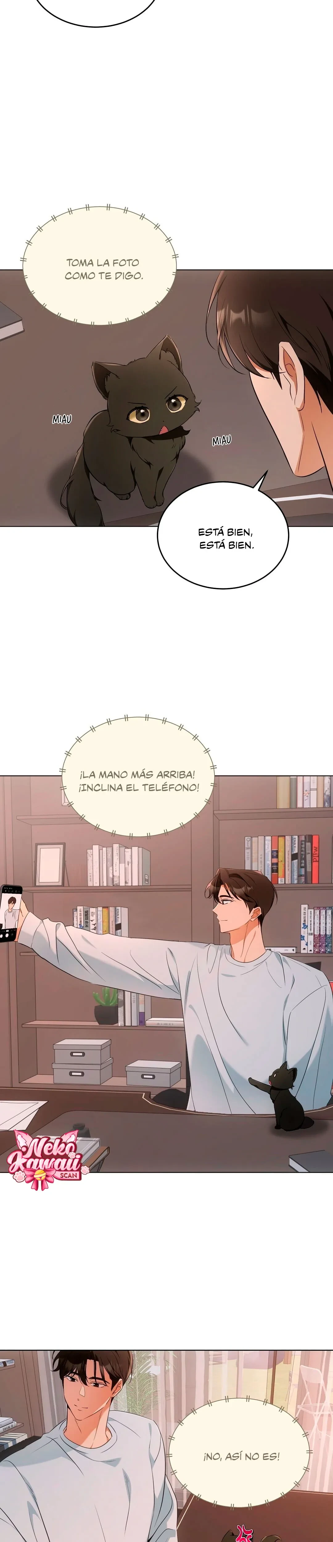 Terapia de gatos Capitulo 10 página 9