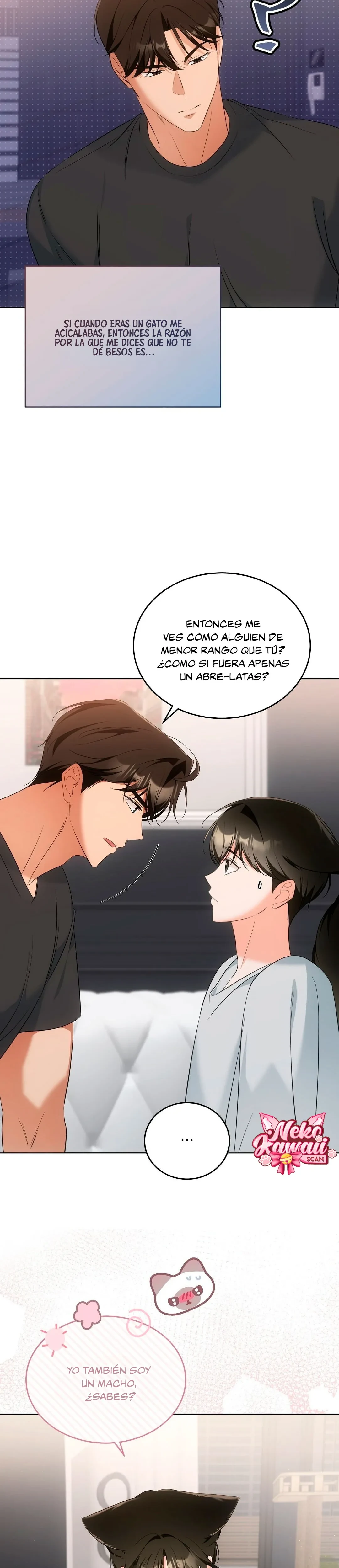 Terapia de gatos Capitulo 11 página 16