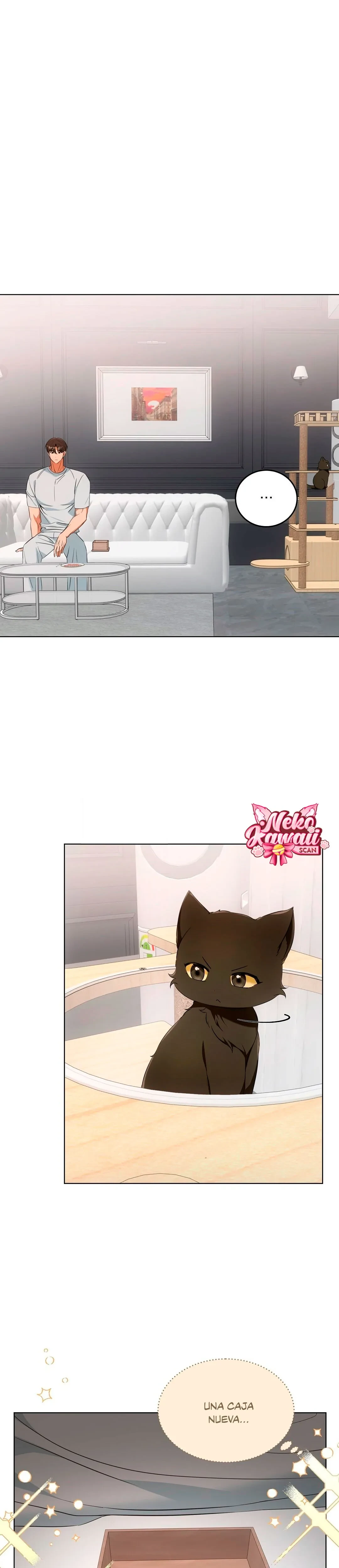 Terapia de gatos Capitulo 11 página 2