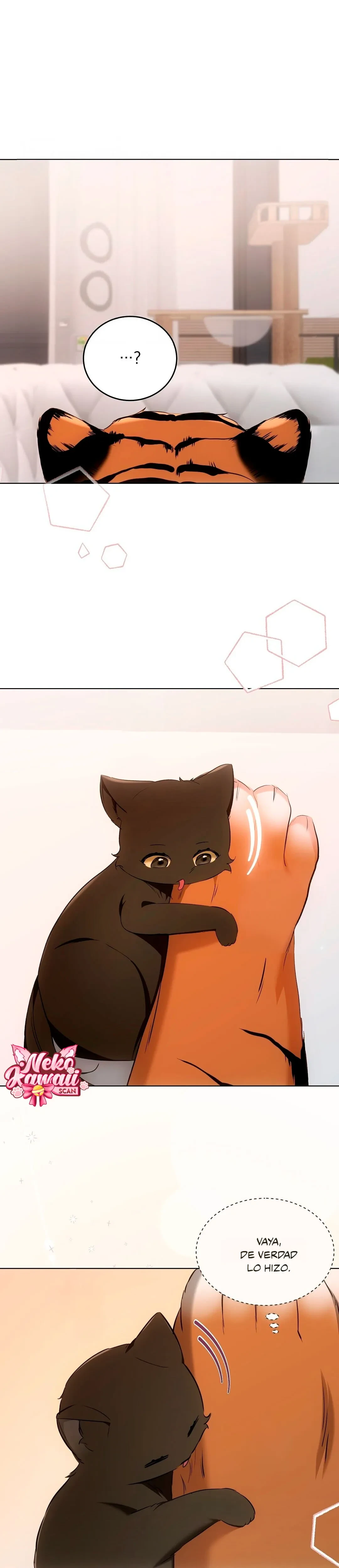 Terapia de gatos Capitulo 11 página 27