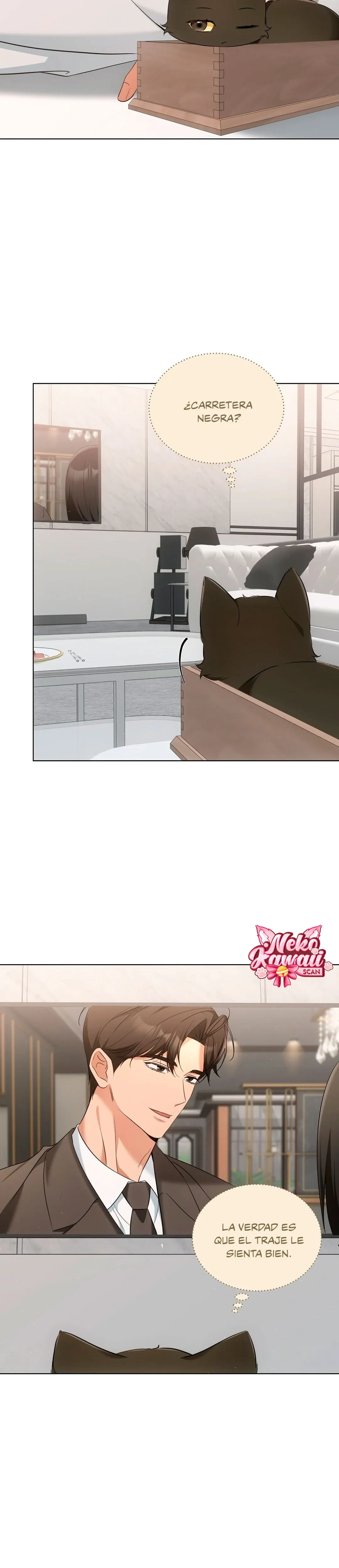 Terapia de gatos Capitulo 11 página 5