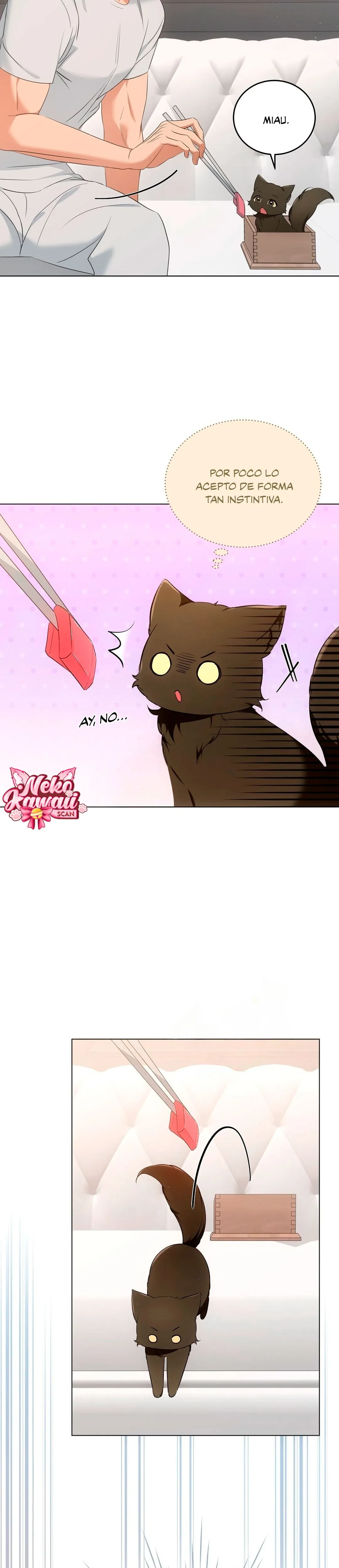 Terapia de gatos Capitulo 11 página 7