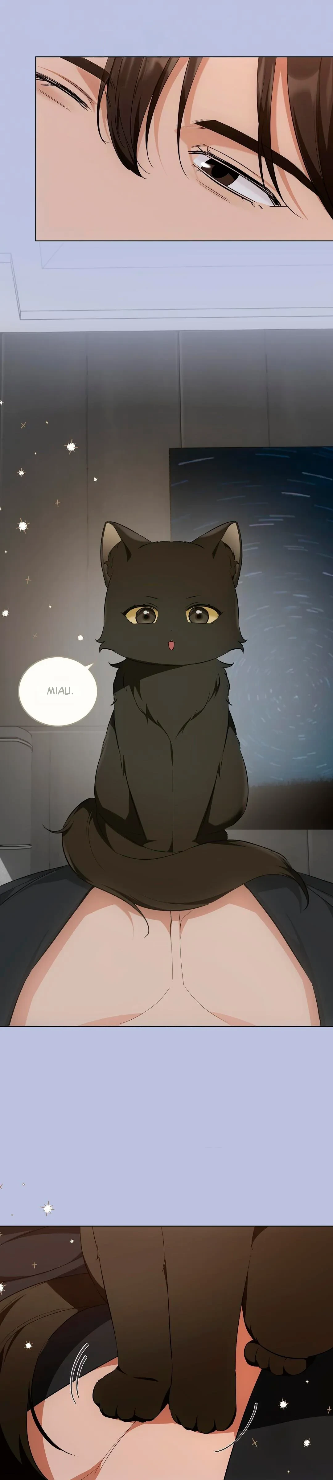 Terapia de gatos Capitulo 14 página 22