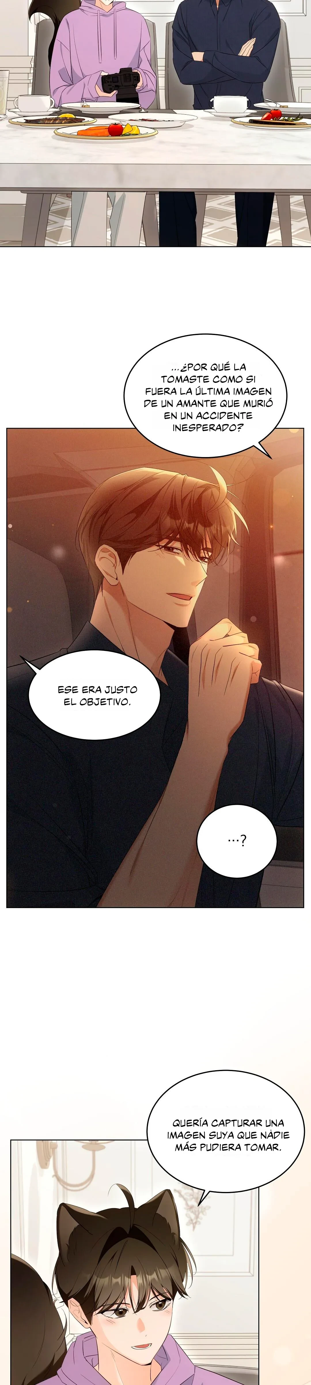 Terapia de gatos Capitulo 15 página 20
