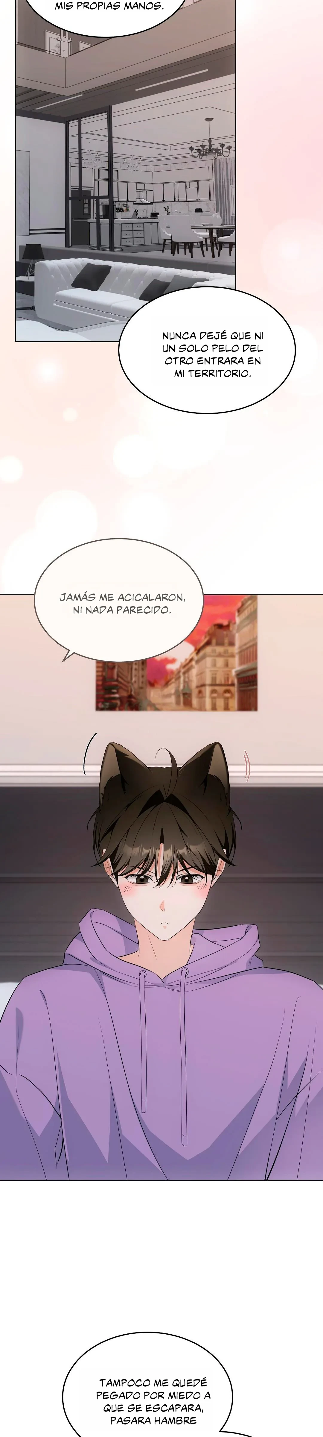Terapia de gatos Capitulo 16 página 21