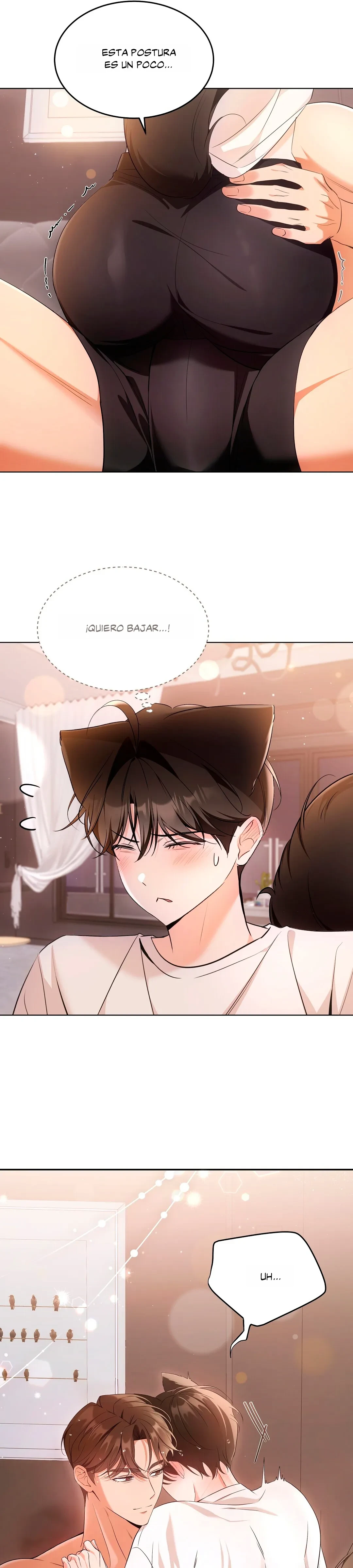 Terapia de gatos Capitulo 17 página 15