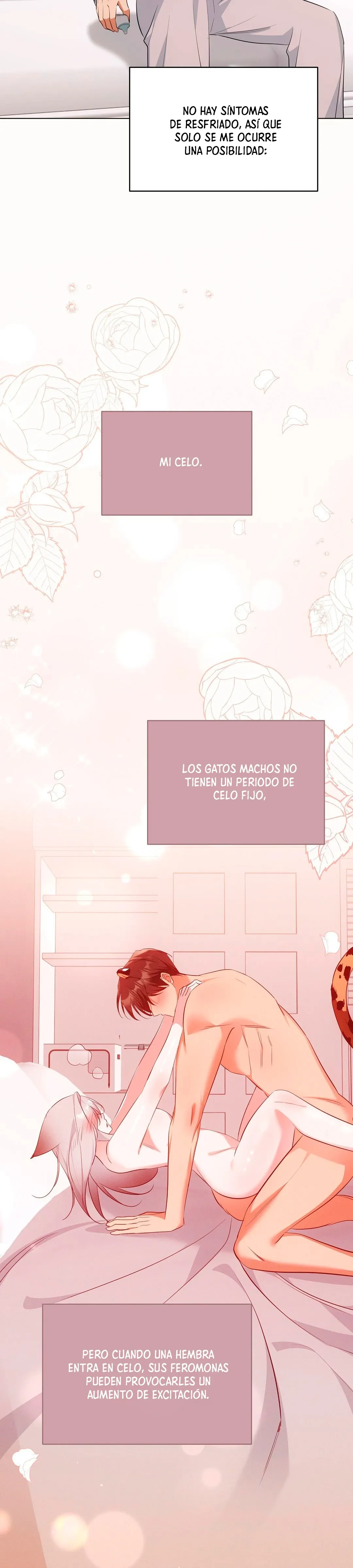 Terapia de gatos Capitulo 18 página 23
