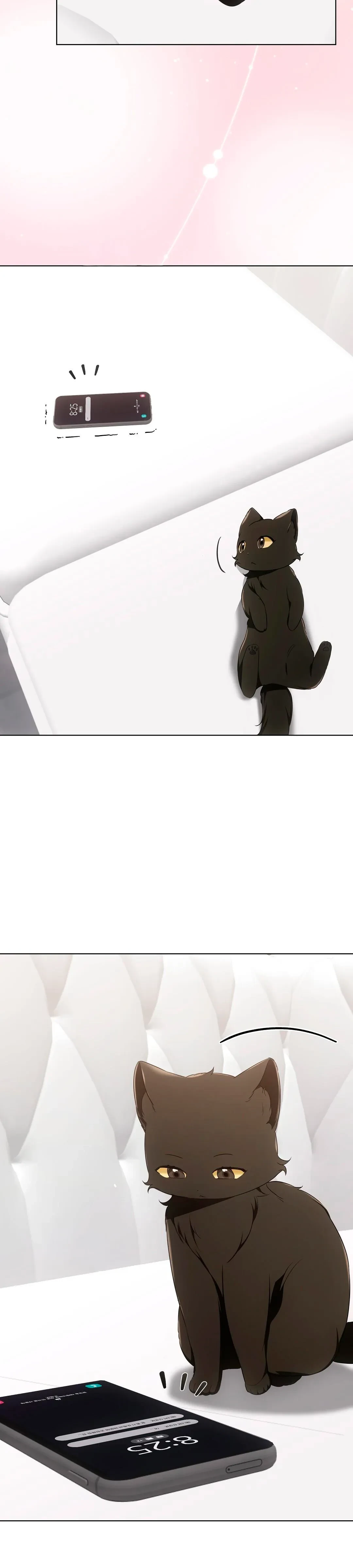 Terapia de gatos Capitulo 18 página 32