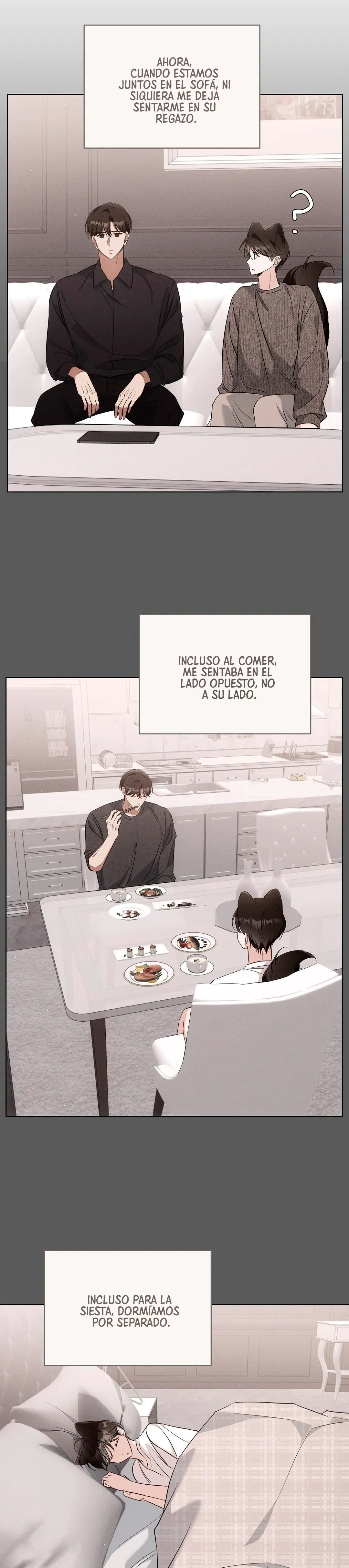 Terapia de gatos Capitulo 19 página 11