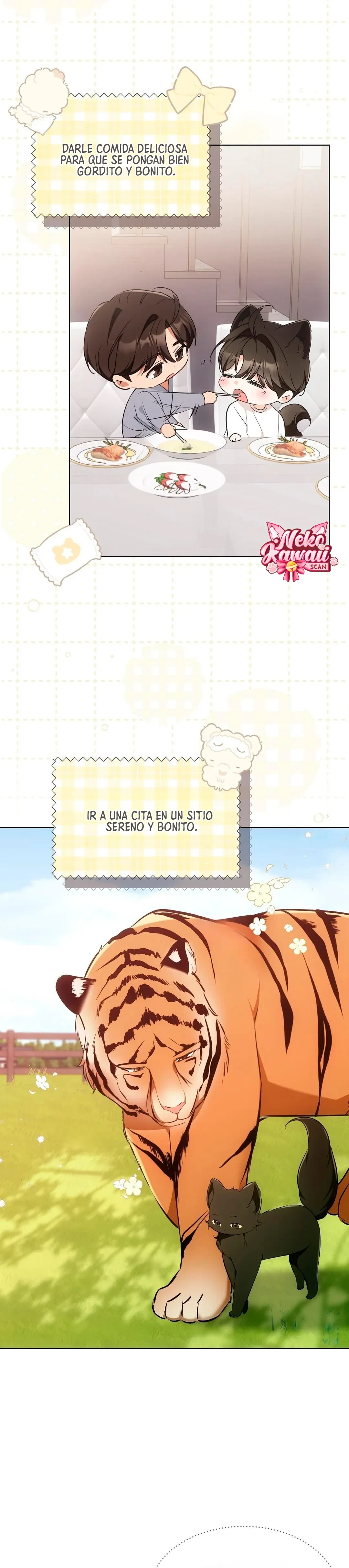 Terapia de gatos Capitulo 19 página 14