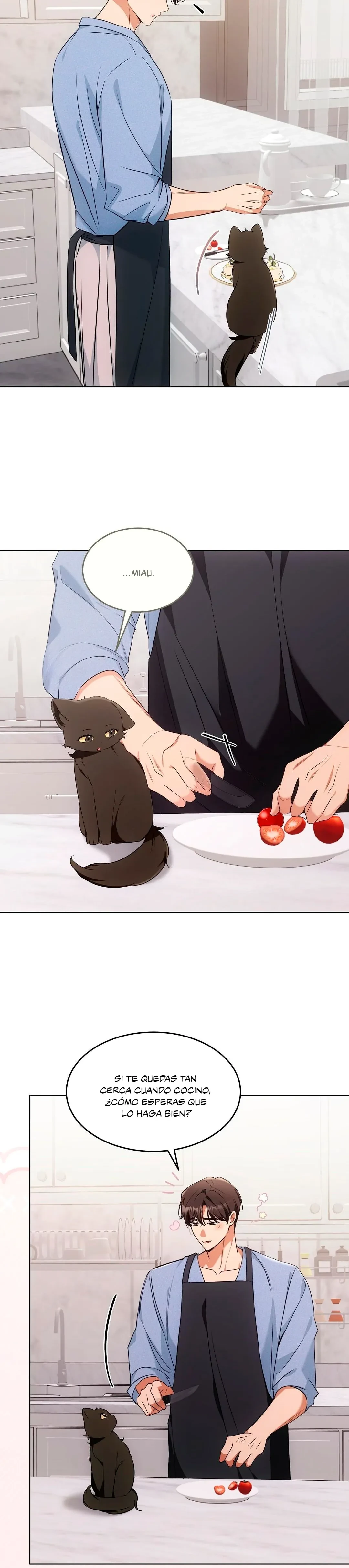 Terapia de gatos Capitulo 19 página 4