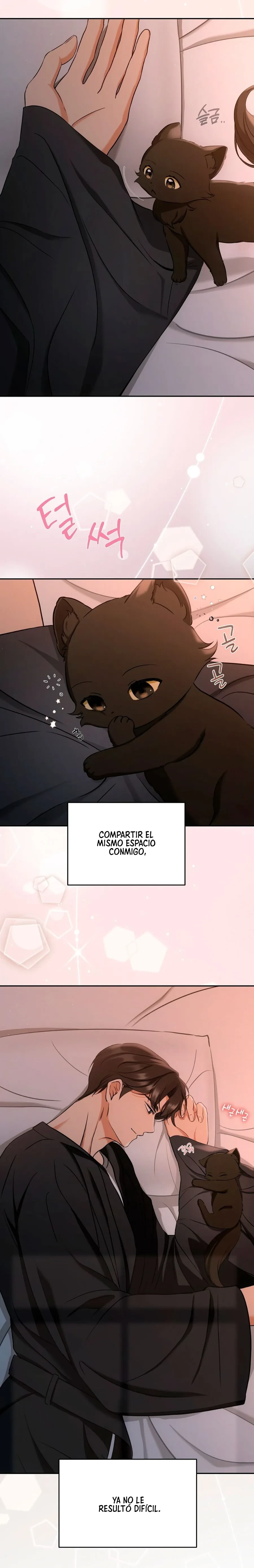 Terapia de gatos Capitulo 2 página 13