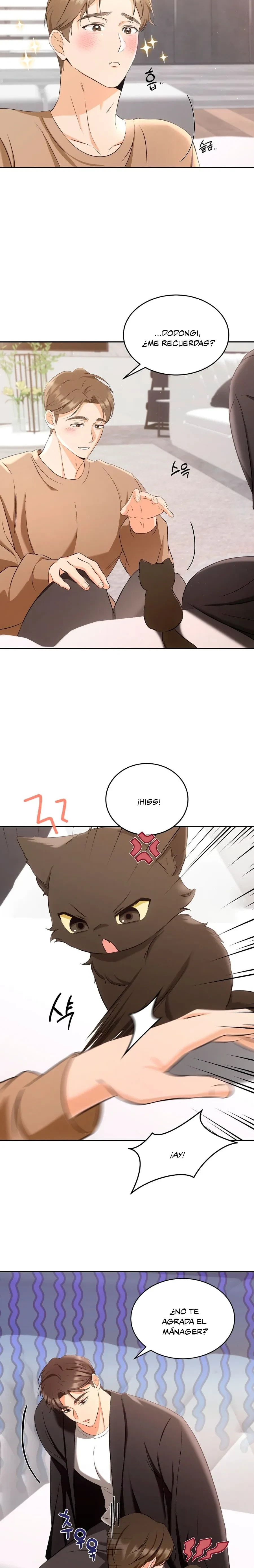 Terapia de gatos Capitulo 2 página 15