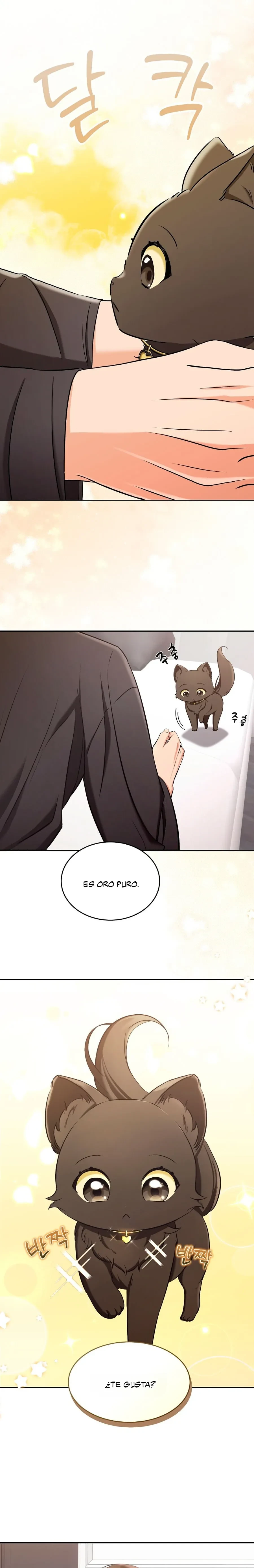 Terapia de gatos Capitulo 2 página 17