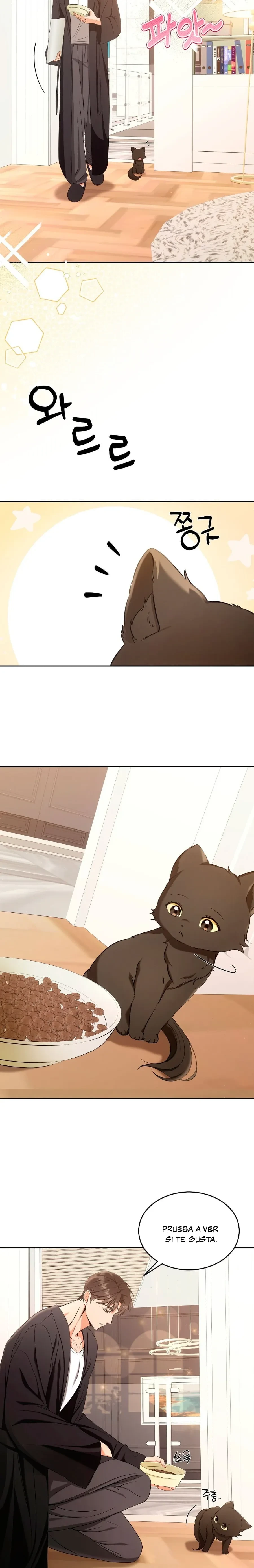 Terapia de gatos Capitulo 2 página 2