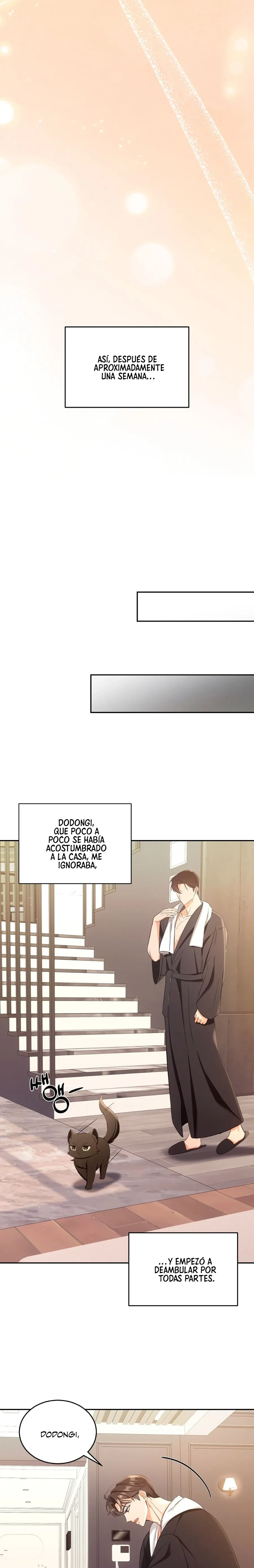 Terapia de gatos Capitulo 2 página 8