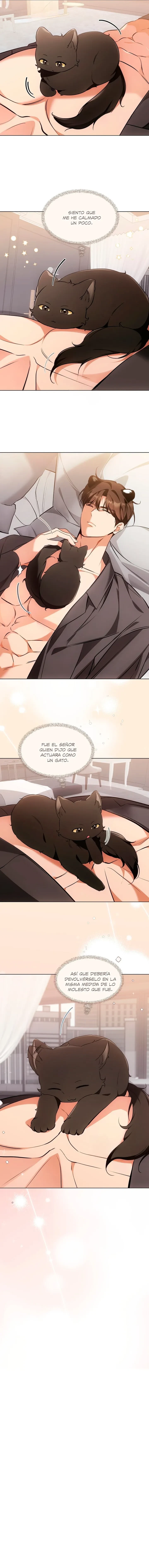 Terapia de gatos Capitulo 21 página 7