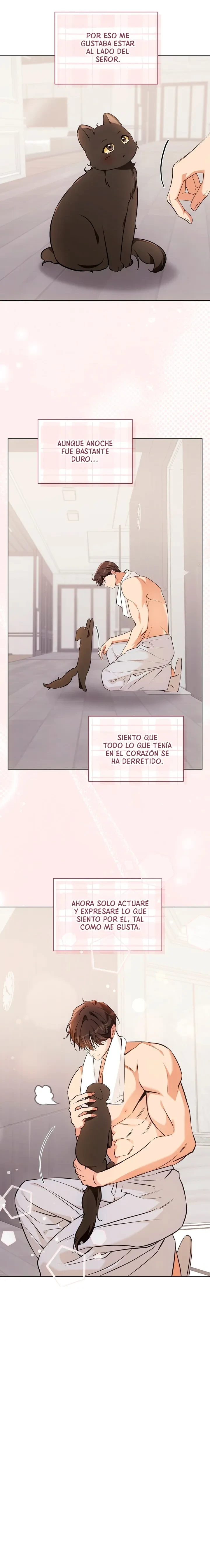 Terapia de gatos Capitulo 22 página 7