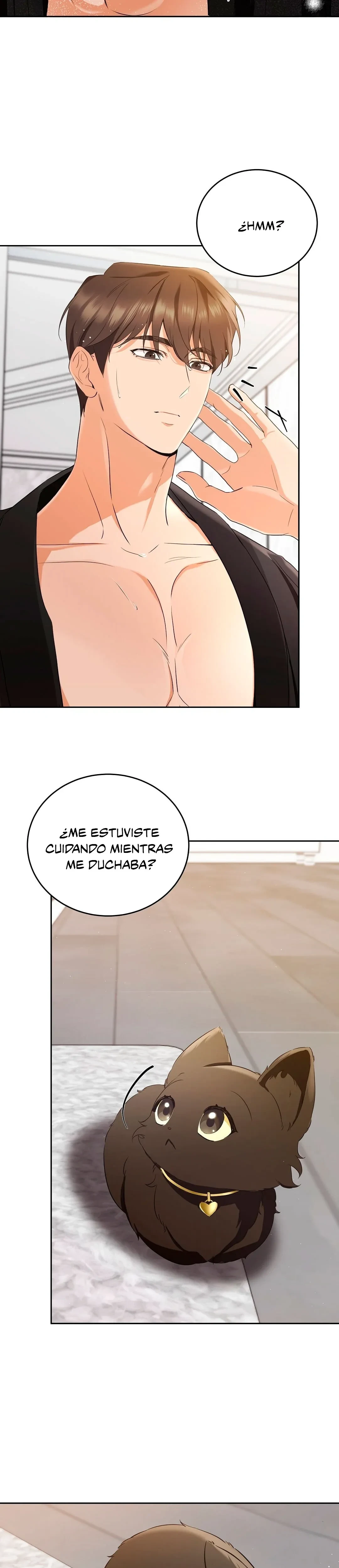 Terapia de gatos Capitulo 3 página 3