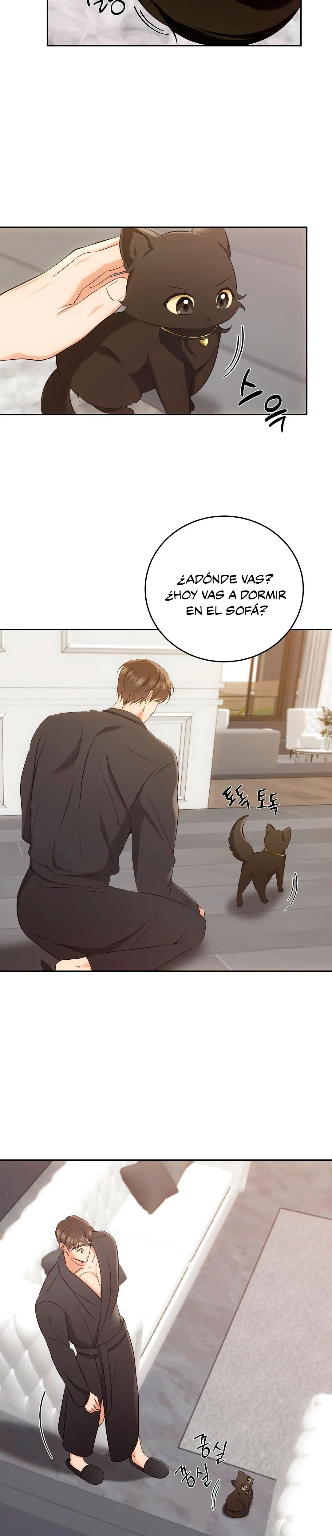 Terapia de gatos Capitulo 3 página 5