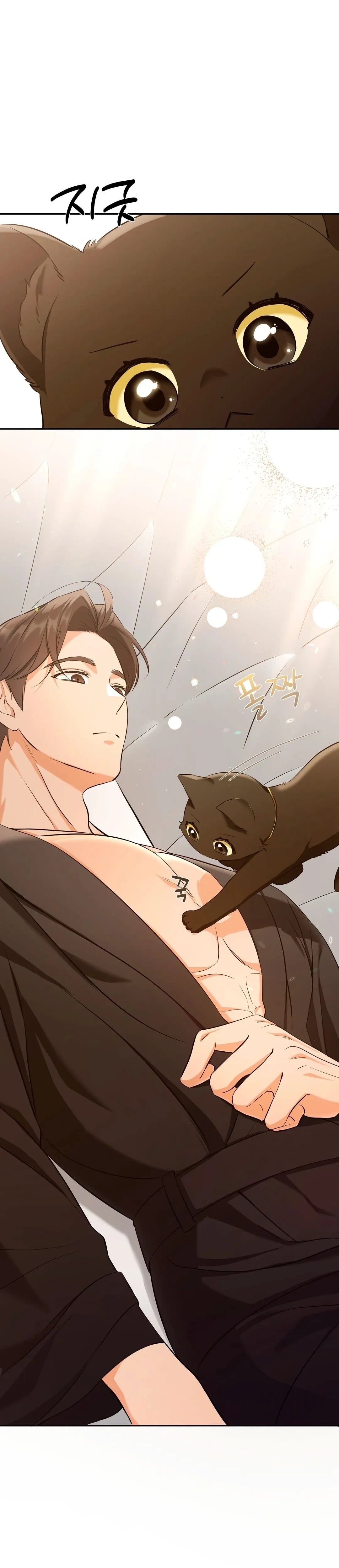 Terapia de gatos Capitulo 3 página 8