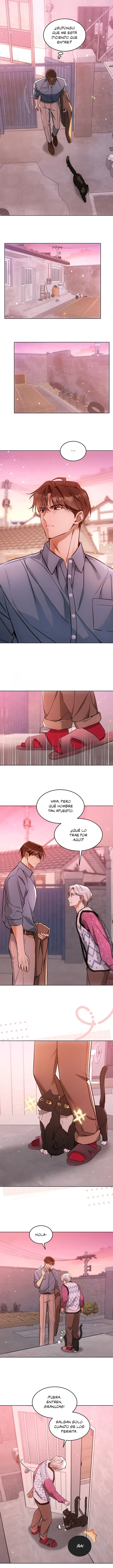 Terapia de gatos Capitulo 31 página 10