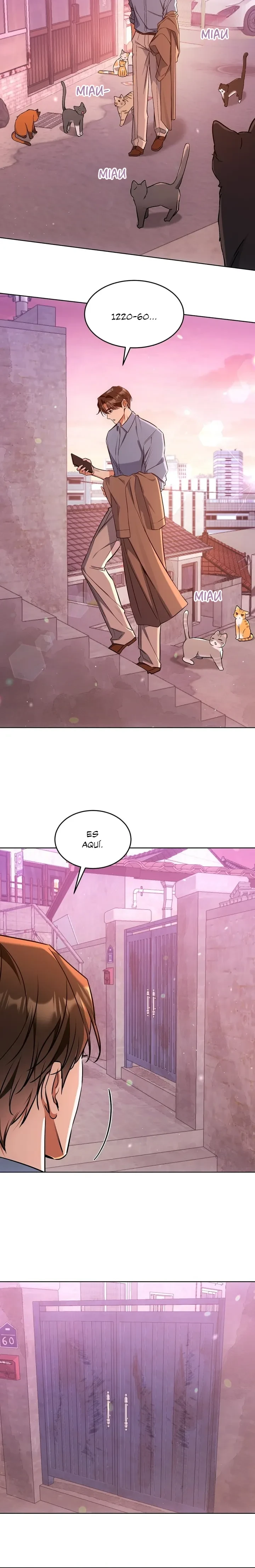 Terapia de gatos Capitulo 31 página 7