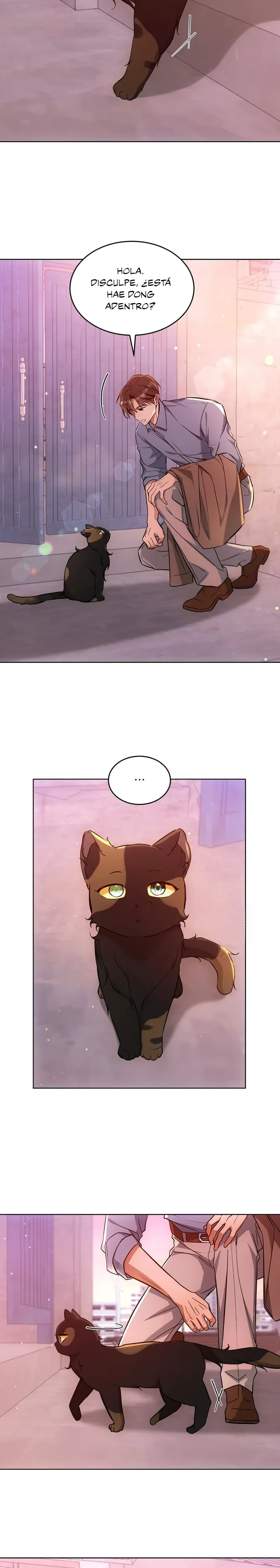 Terapia de gatos Capitulo 31 página 9