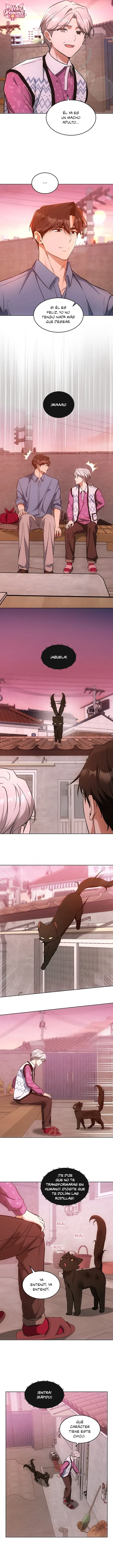 Terapia de gatos Capitulo 32 página 10