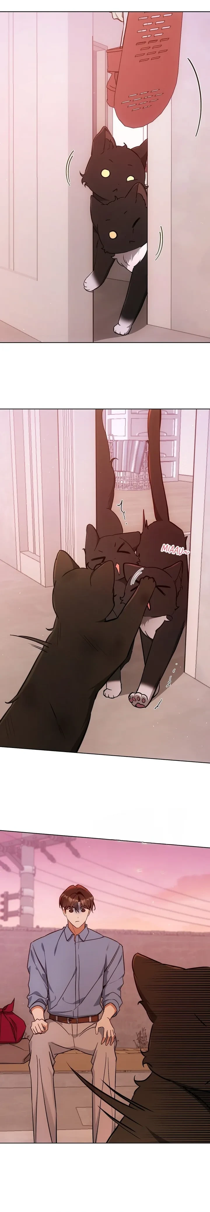 Terapia de gatos Capitulo 32 página 11