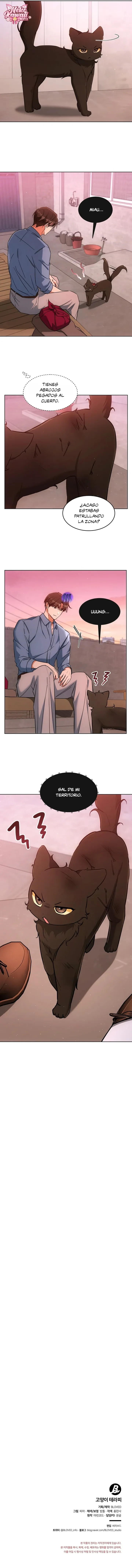 Terapia de gatos Capitulo 32 página 12